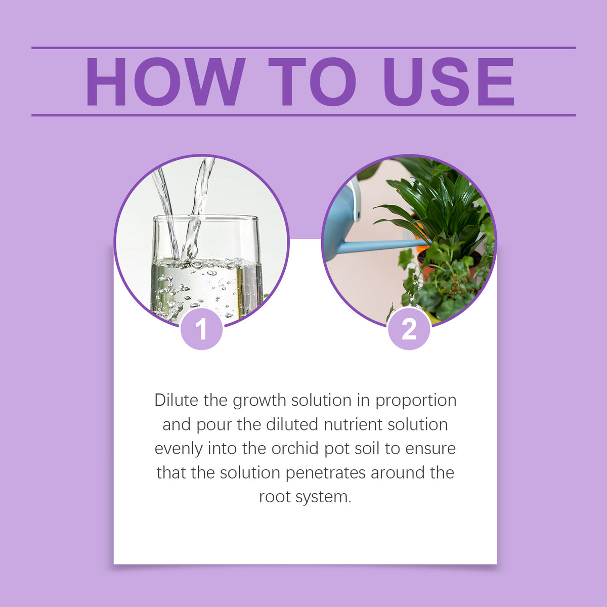 Orchid Fertilizer for Brighter Blooms & Strong Roots
