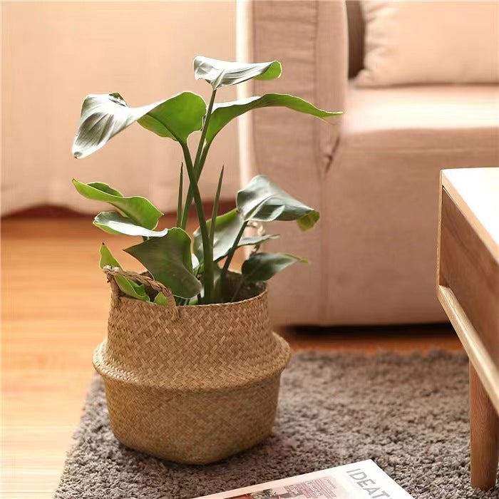 Woven Seagrass Basket Planter Cover for Living Room