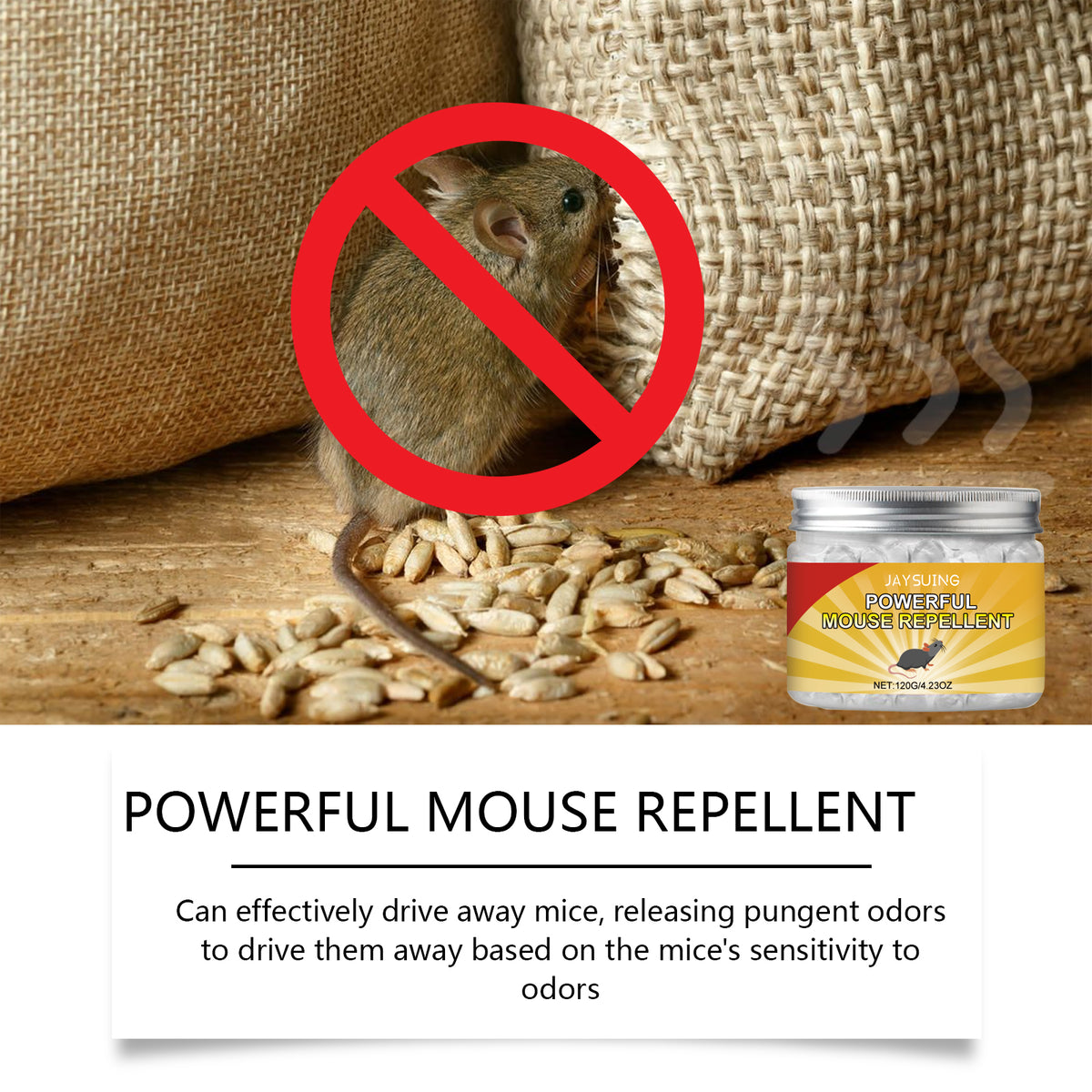 Rat Repellent Paste for Odor-Based Rodent Control