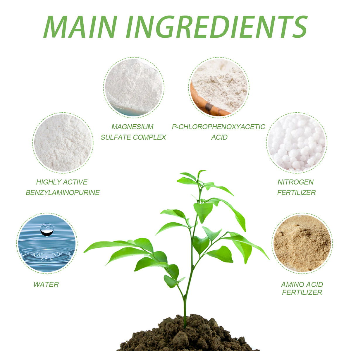 Granular Plant Fertilizer for Greener, Stronger Growth