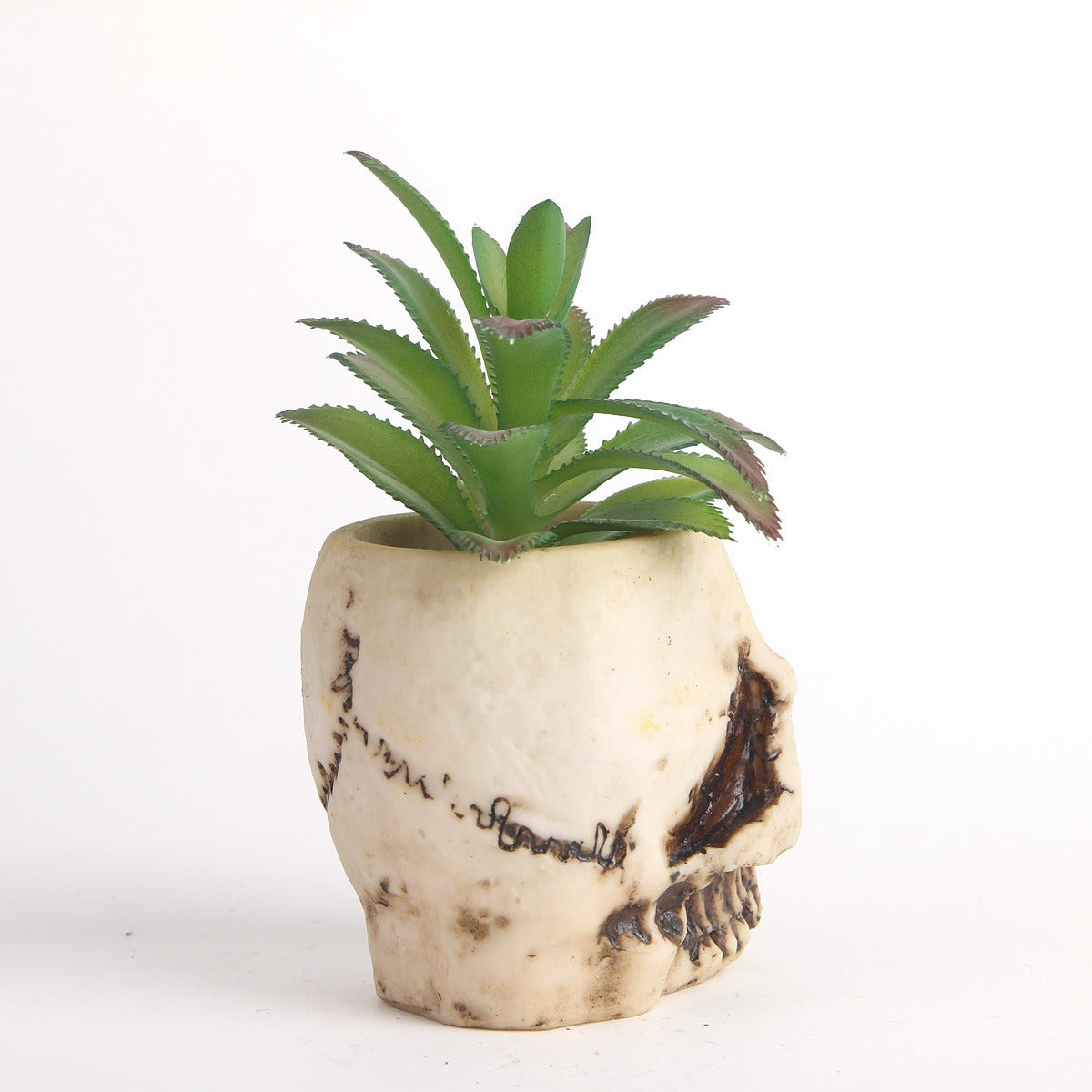 Skull Head Planter with Faux Succulent, Gothic Decor