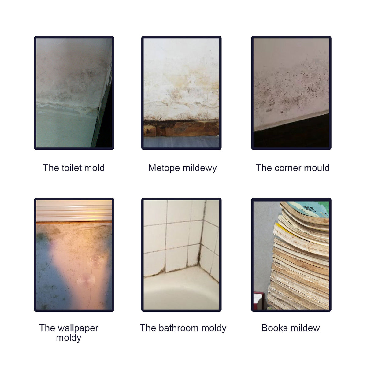 Mold Remover Spray for Bathroom Walls, Tiles & Grout