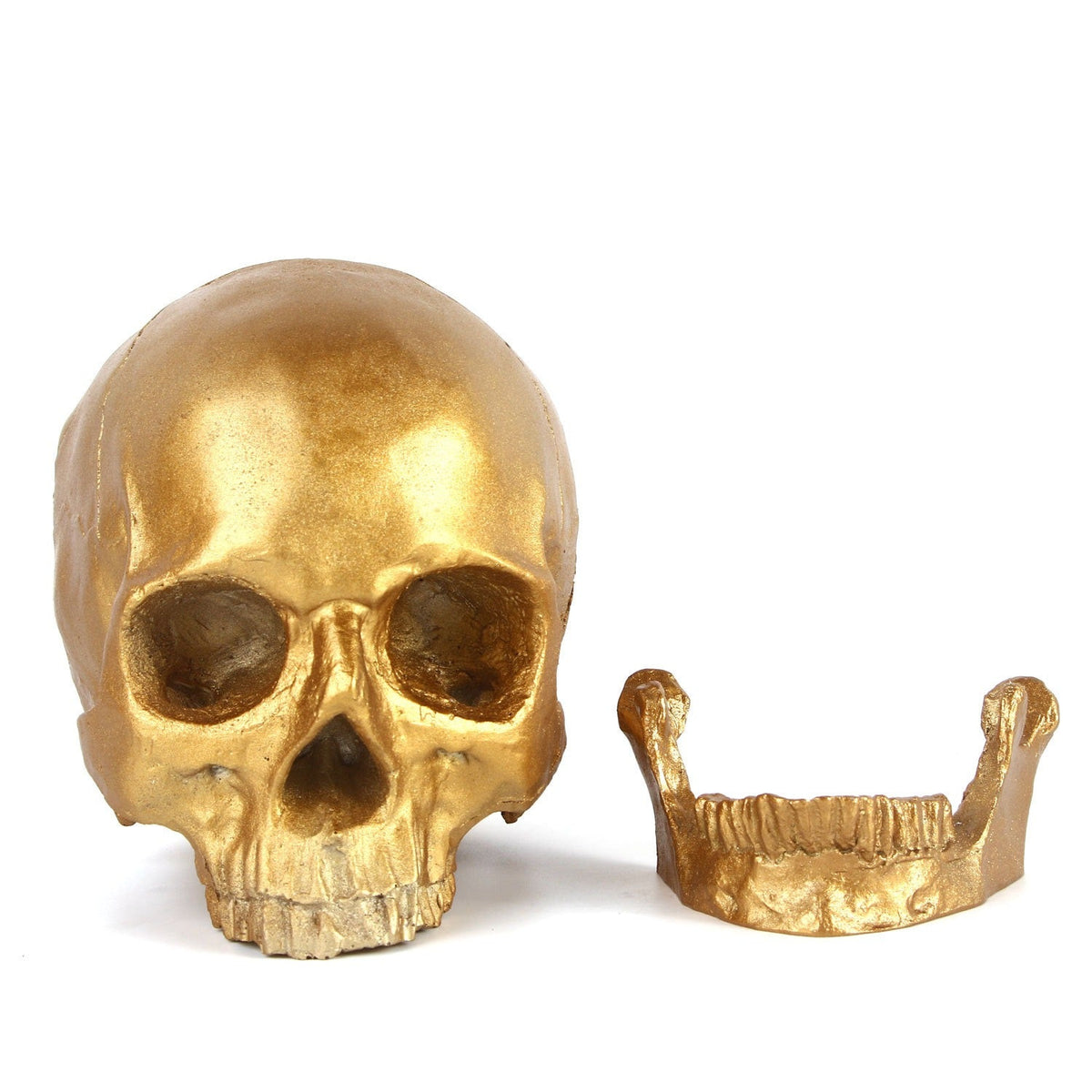 1:1 Human Skull Model With Distressed Antique Gold Finish