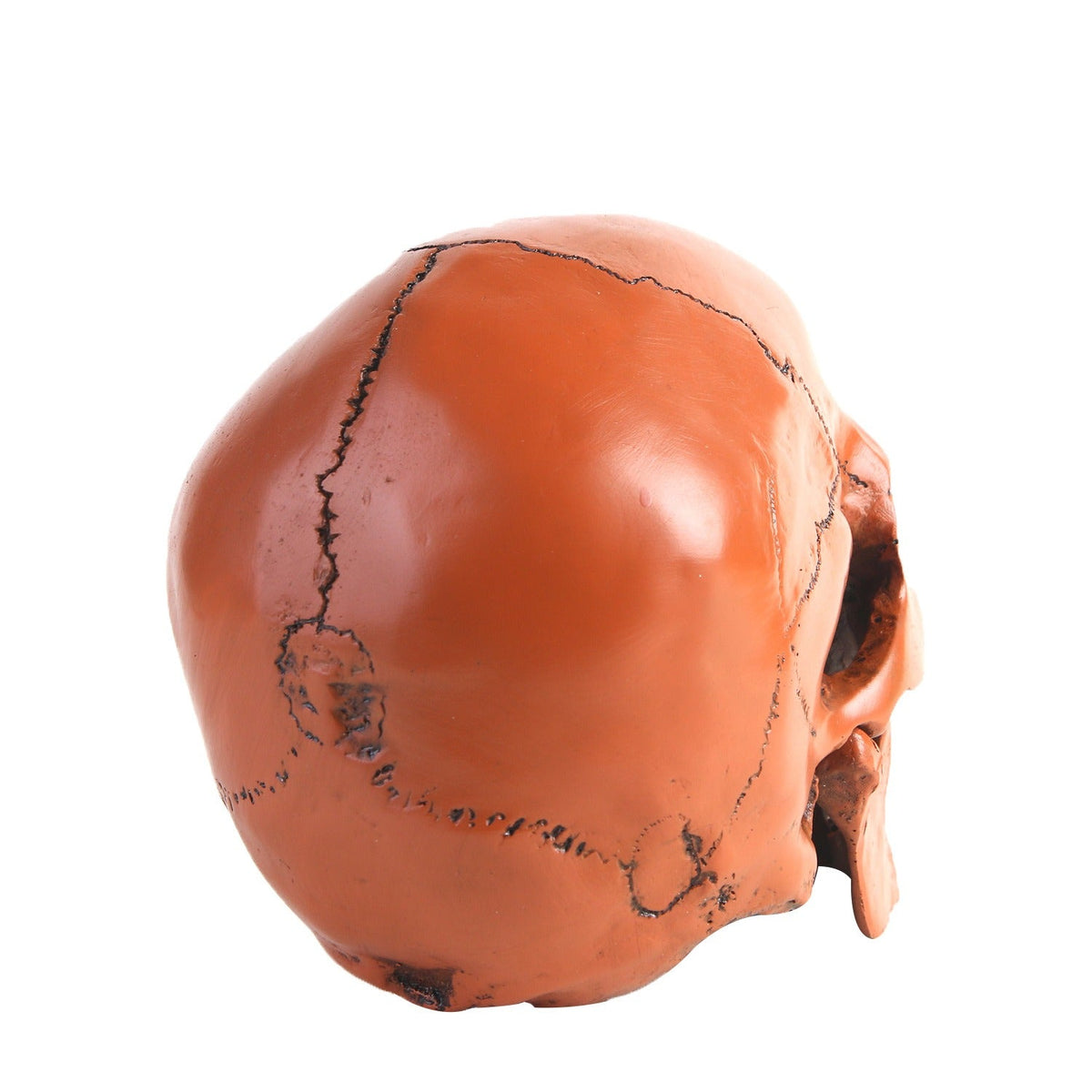 Resin Skull Ornament With Realistic Gothic Details