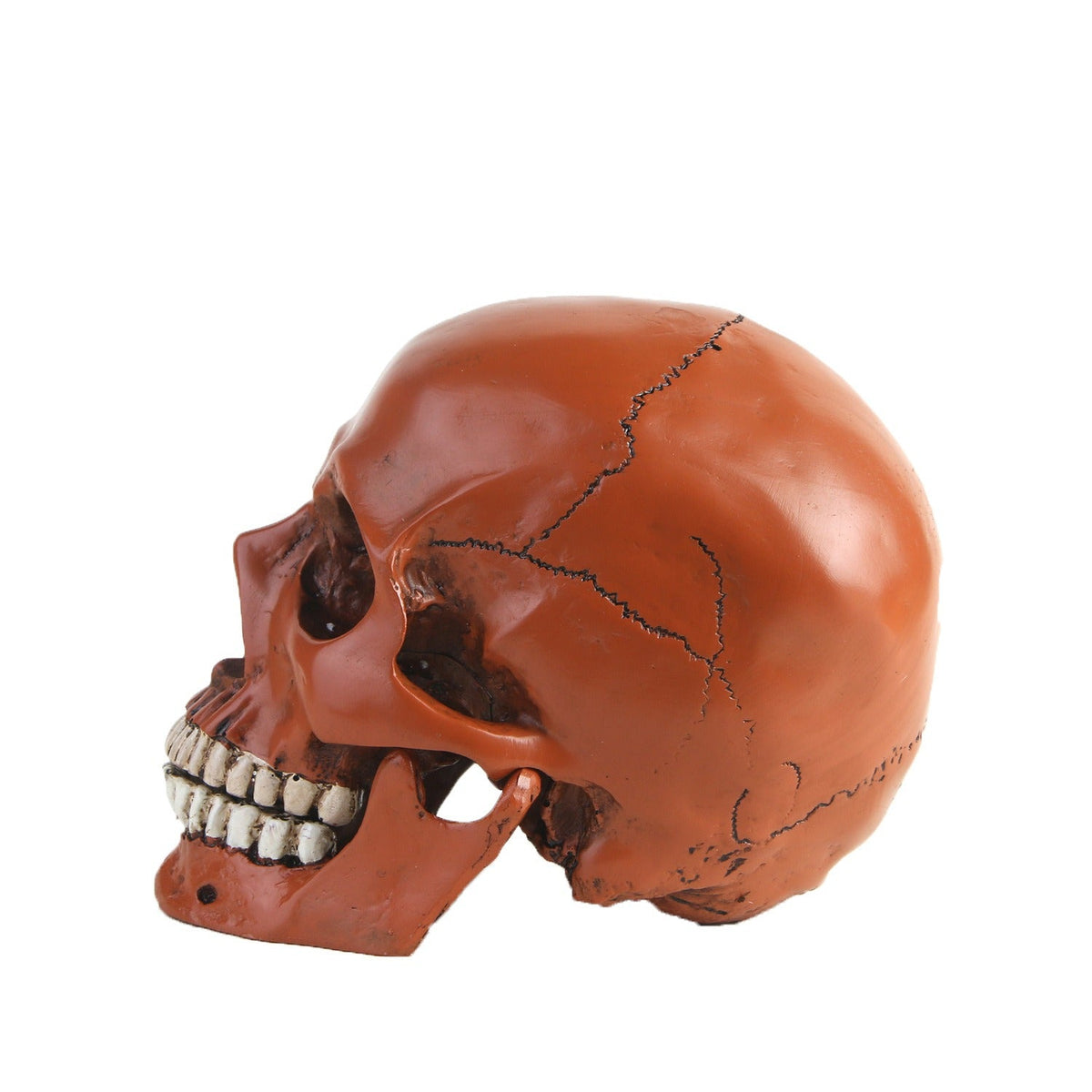 Resin Skull Ornament With Realistic Gothic Details