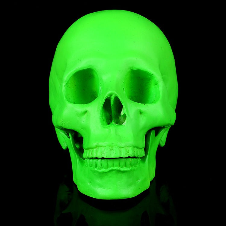 Neon Green Skull Ornament For Gothic Display Decor