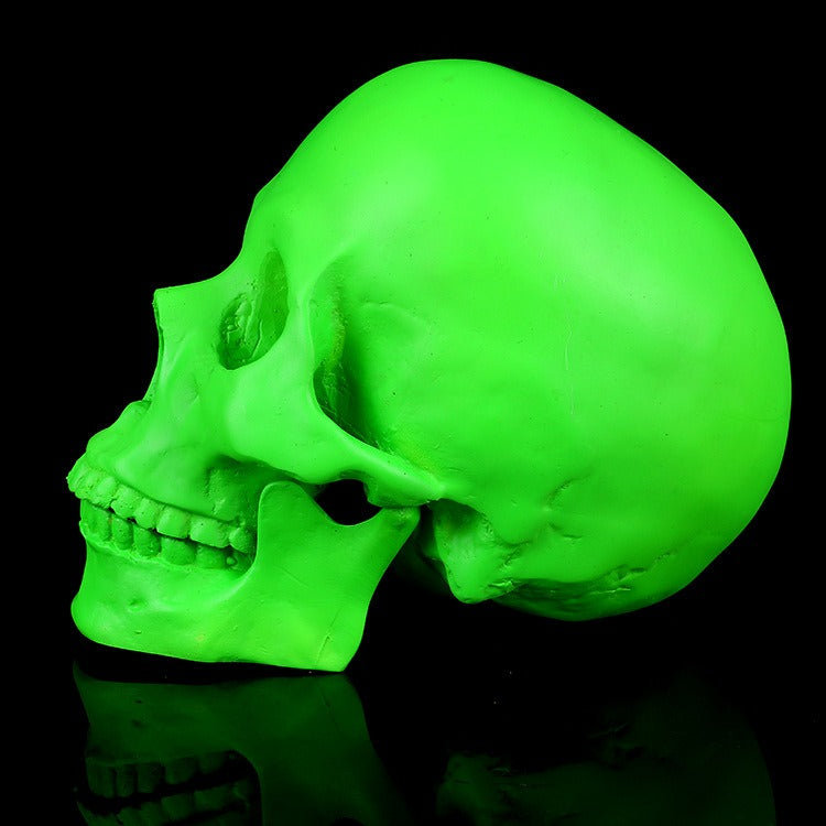 Neon Green Skull Ornament For Gothic Display Decor