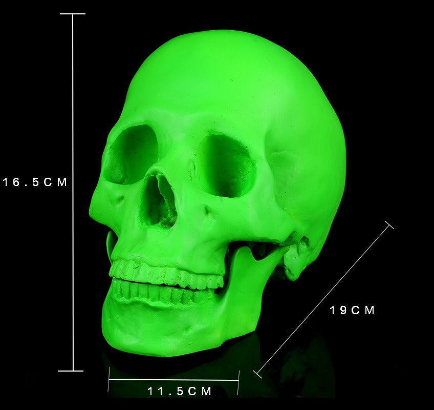 Neon Green Skull Ornament For Gothic Display Decor