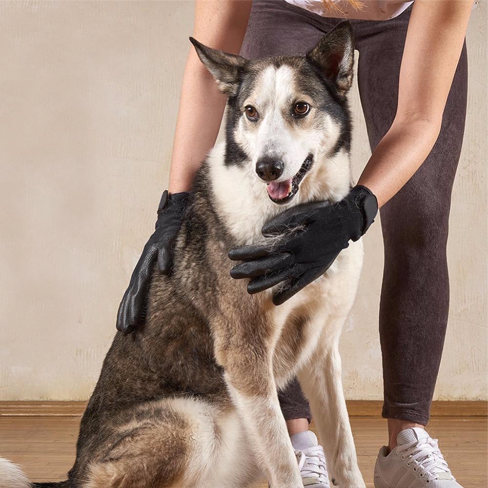 Pet Grooming Glove for Dogs and Cats | De-Shedding