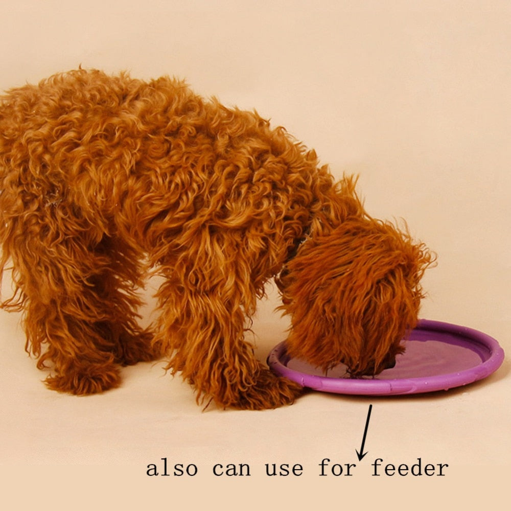 Interactive Dog Flying Disc for Fetch & Enrichment