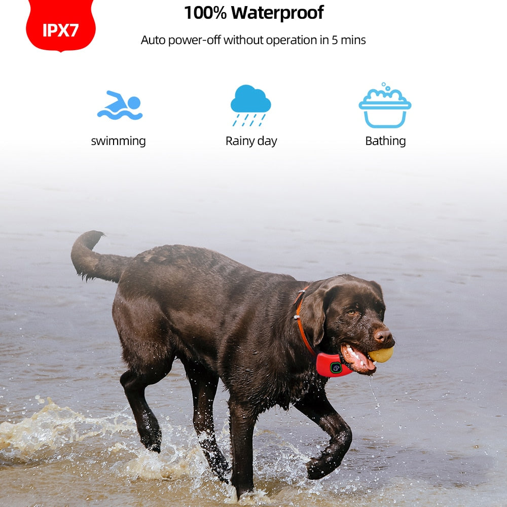 Dog Training Collar with 1000ft Remote & Vibration