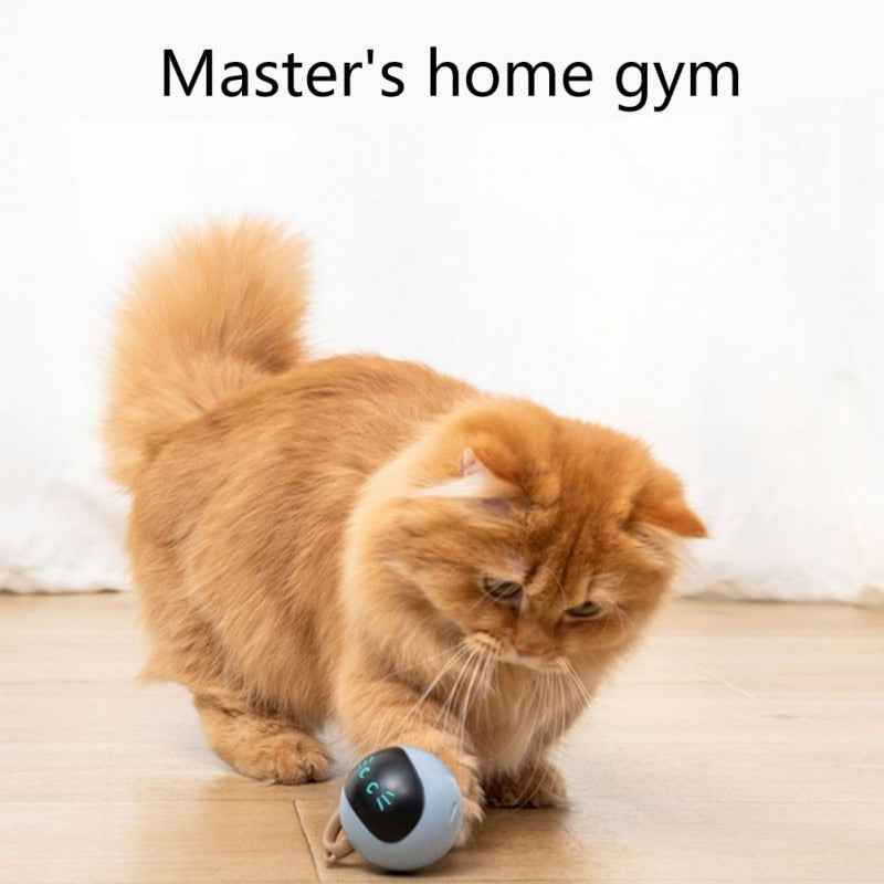 Smart Cat Toy Ball: Self-Rolling Indoor Exercise