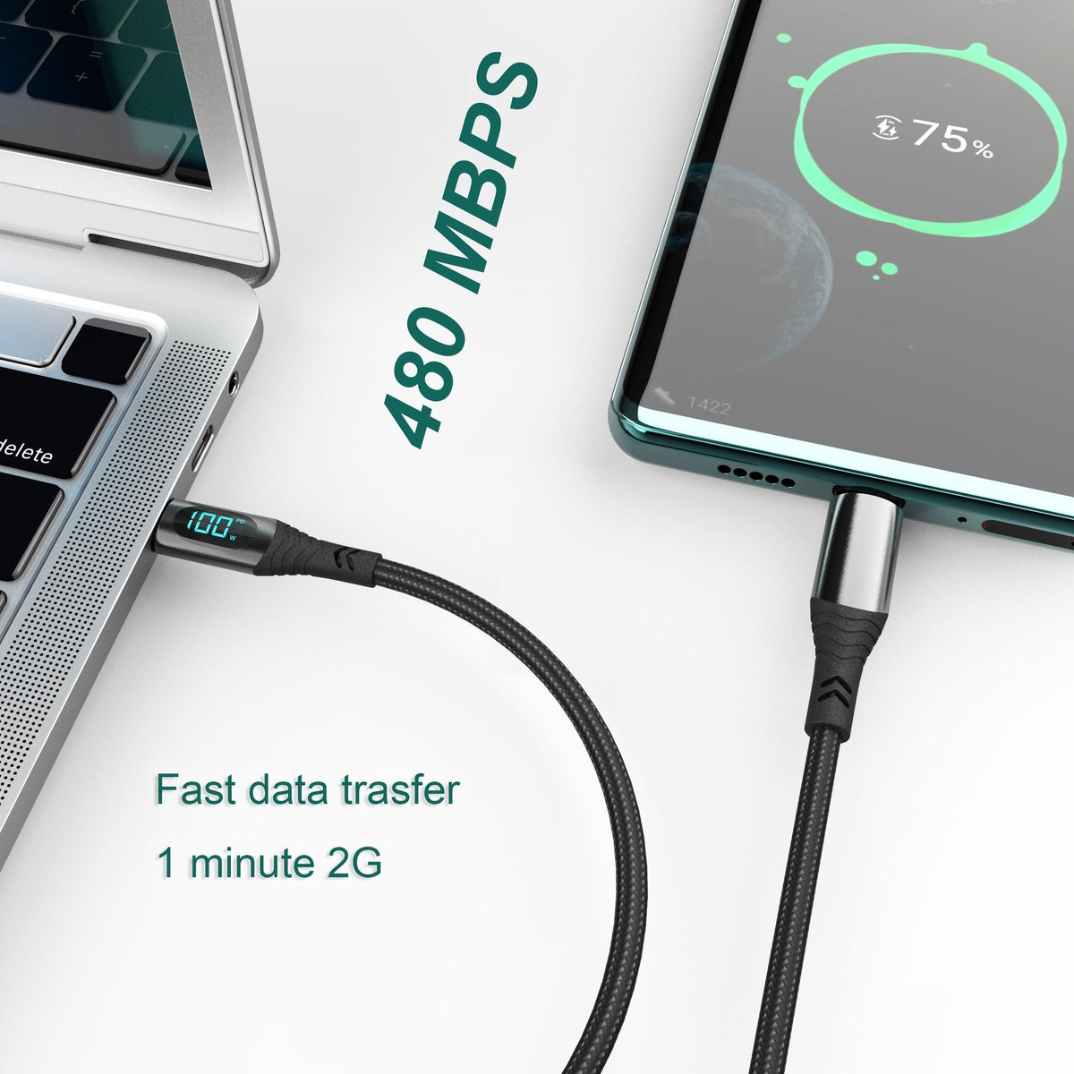 100W USB-C to USB-C Charging Cable with LED Wattage Display