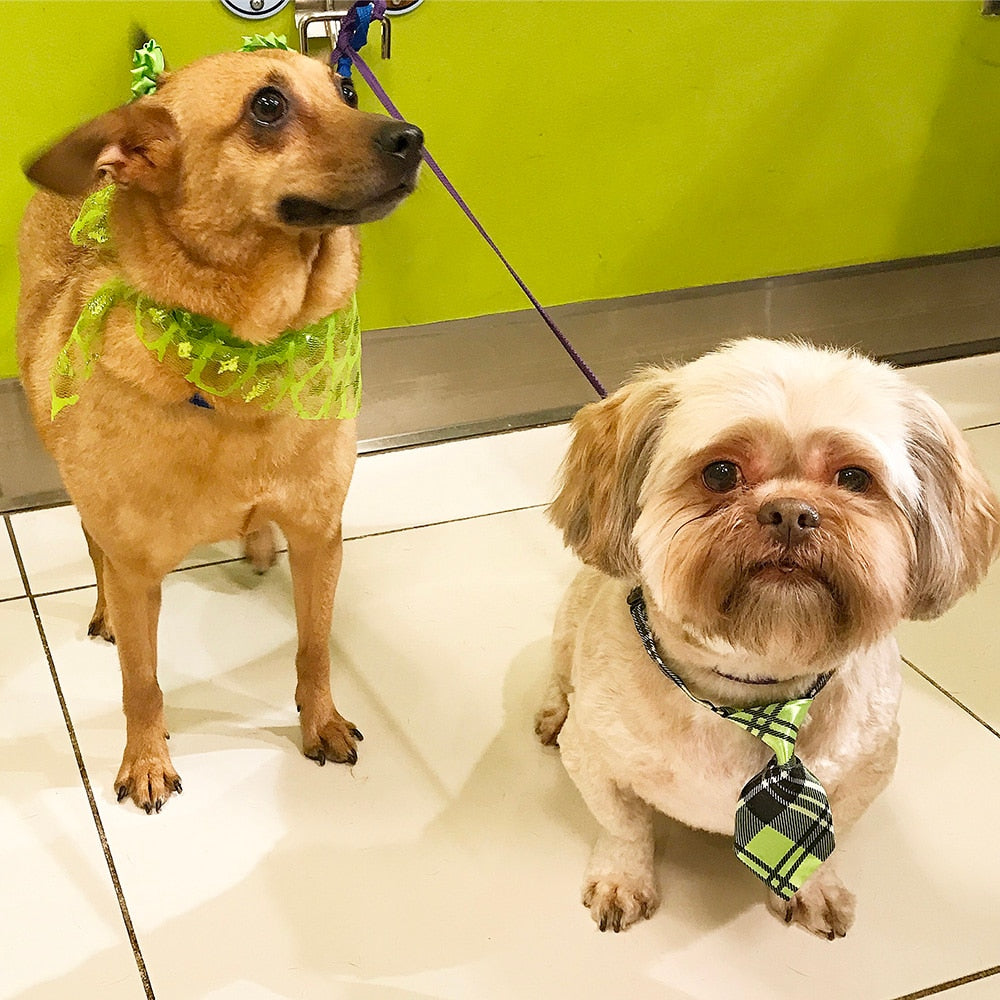 Pet Neckties for Small Dogs & Cats, 10-Piece Set