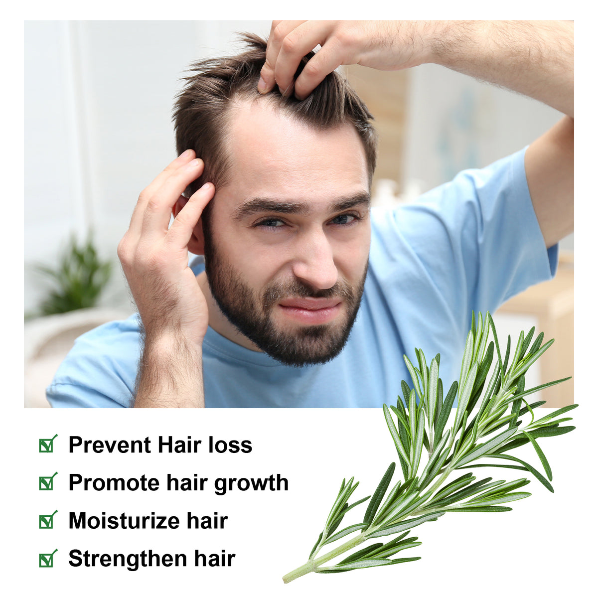 Rosemary Hair Oil for Healthier-Looking Hair Roots