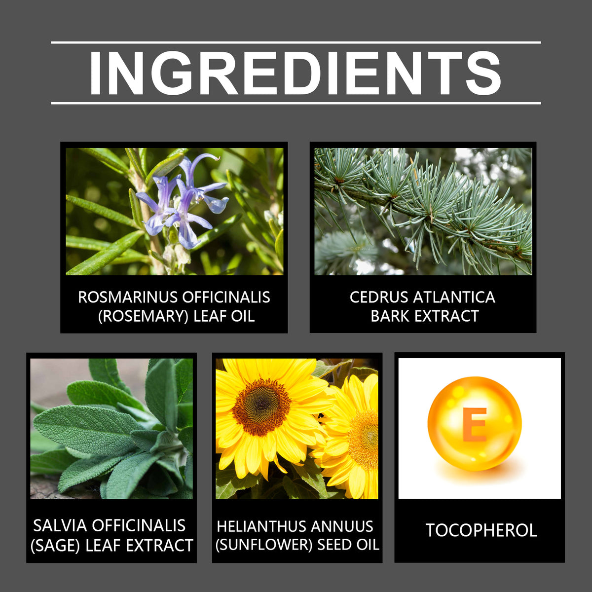 Rosemary Essential Oil for Massage & Dry Skin Repair