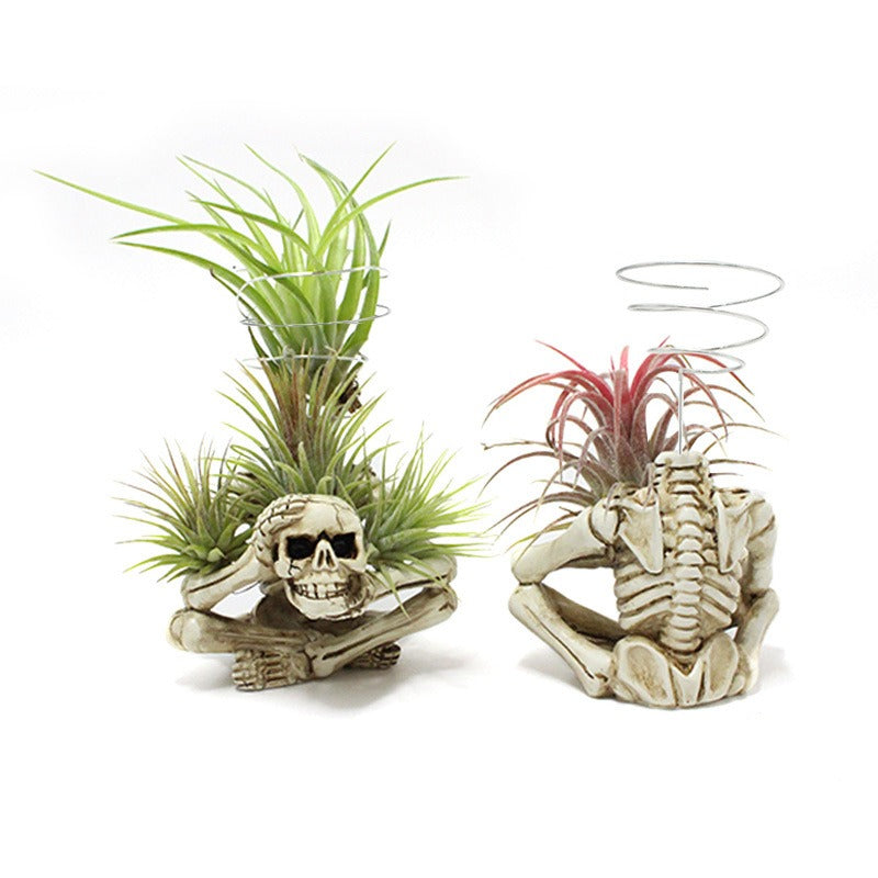 Halloween Skeleton Air Plant Holder, No Soil Needed