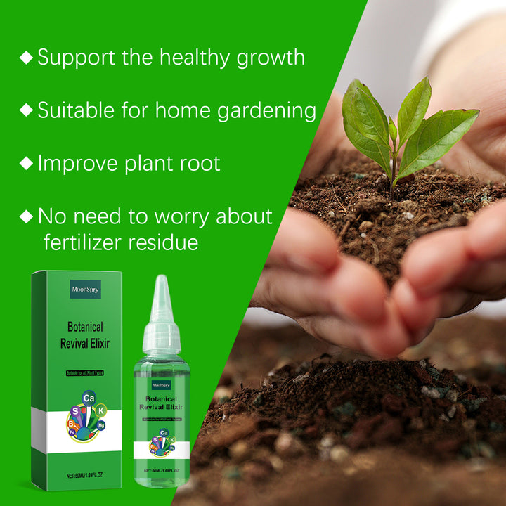 Plant Nutrient Solution for Greener, Healthier Growth