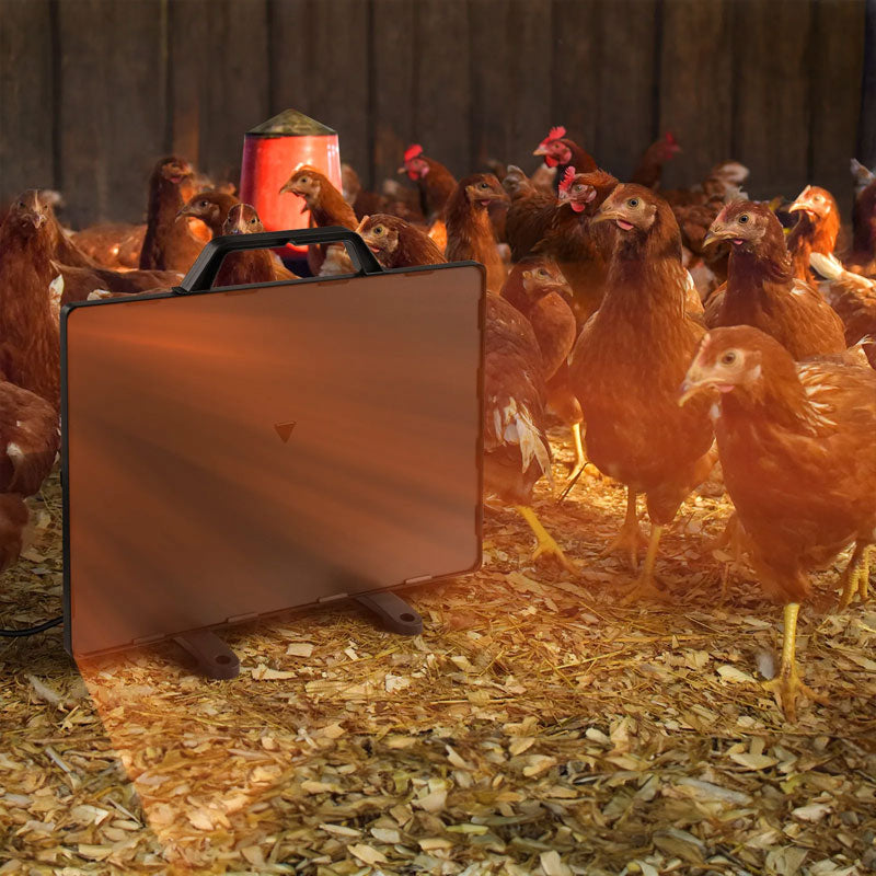 Chicken Coop Heater With Thermostatic Radiant Control