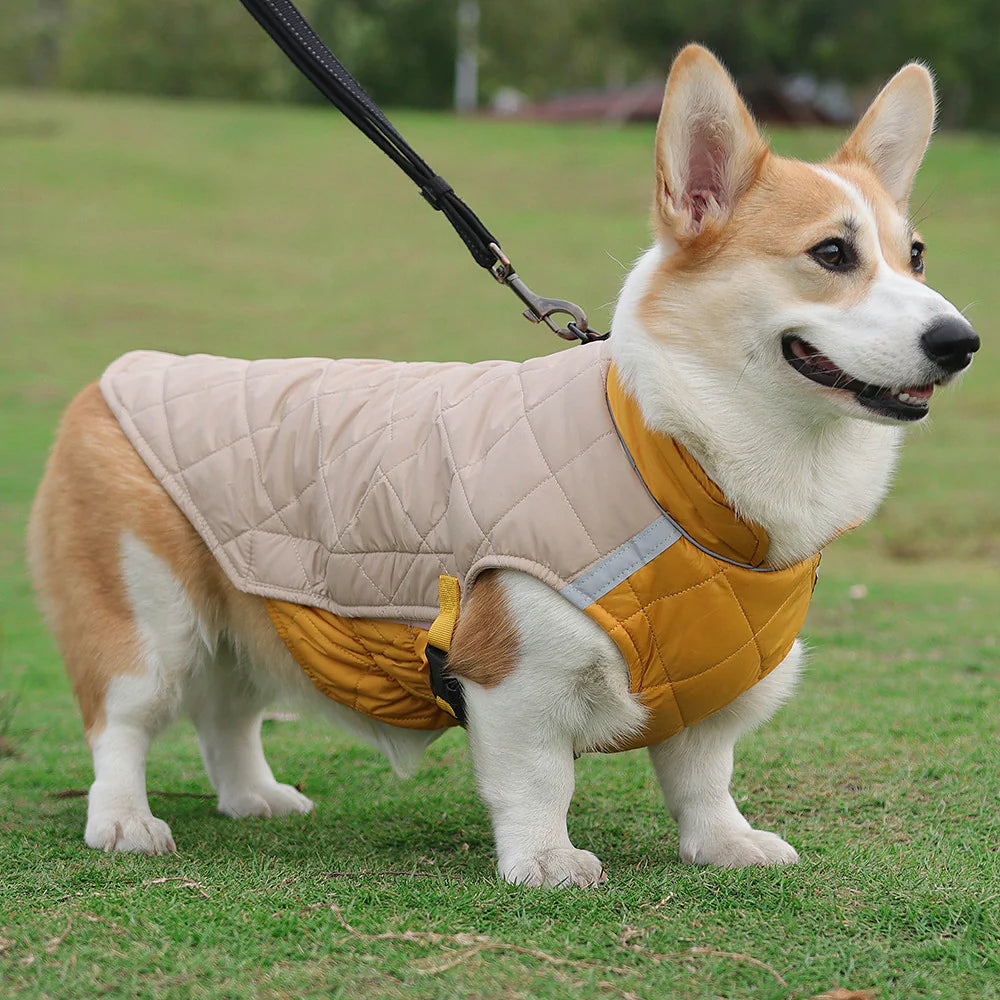 Quilted Reflective Dog Coat for Warm Winter Outdoor Walks