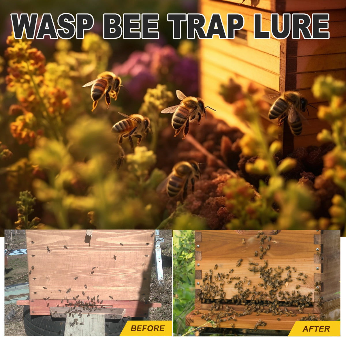 Wasp & Bee Trap Lure for Fast, Lasting Attraction