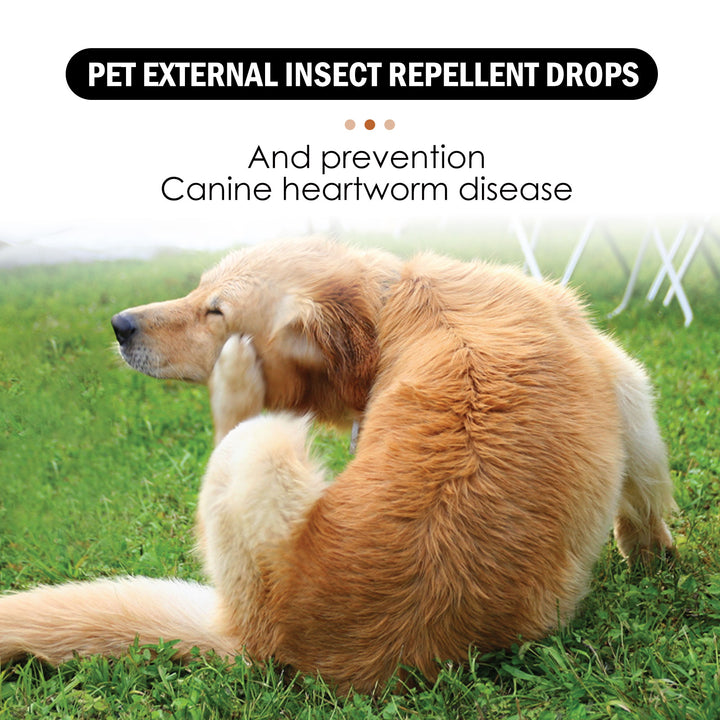 Pet Flea And Tick Drops For Cats & Dogs, 30ml Bottle