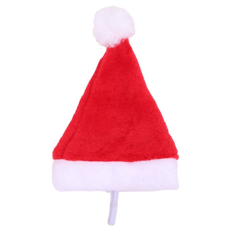 Christmas Pet Santa Hat for Adorable Holiday Photo Fun