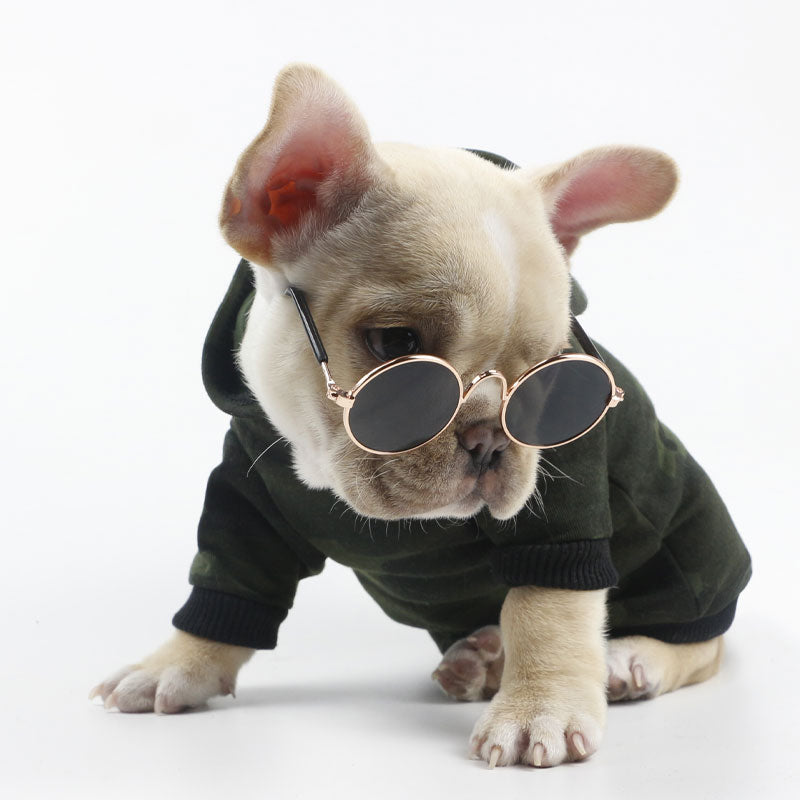 Pet Cat Glasses for Small Dogs | Playful Photo Style