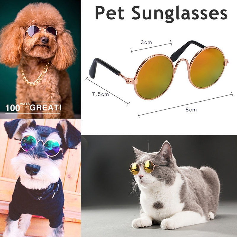 Pet Cat Glasses for Small Dogs | Playful Photo Style