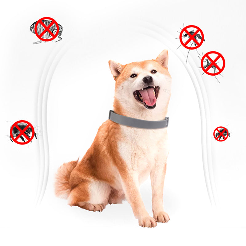 Pet Flea & Tick Collar – Up to 8 Months Protection