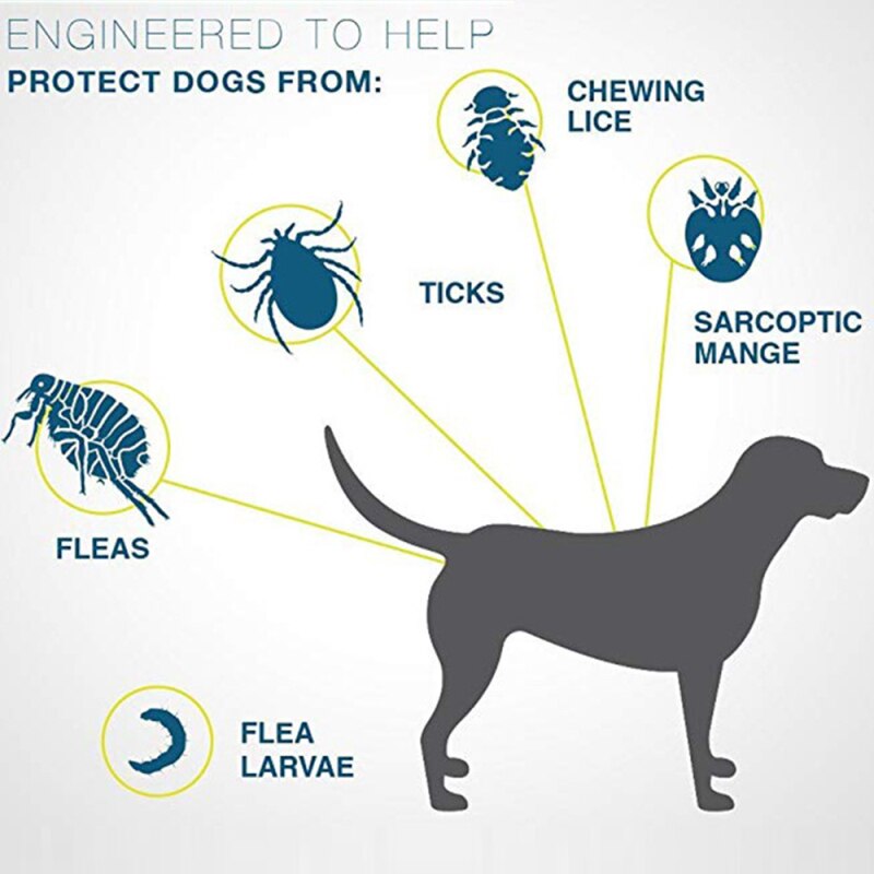 Pet Flea & Tick Collar – Up to 8 Months Protection