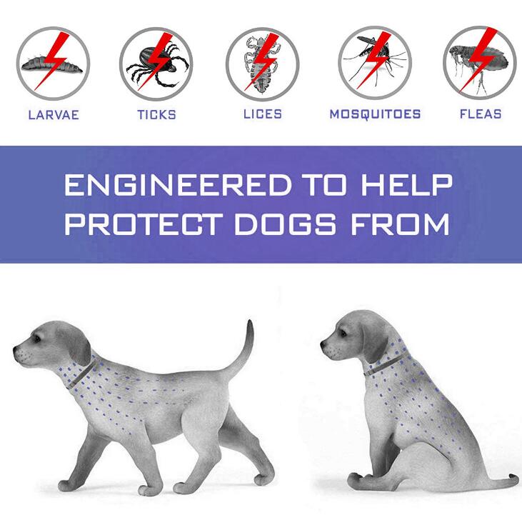 Pet Flea & Tick Collar – Up to 8 Months Protection