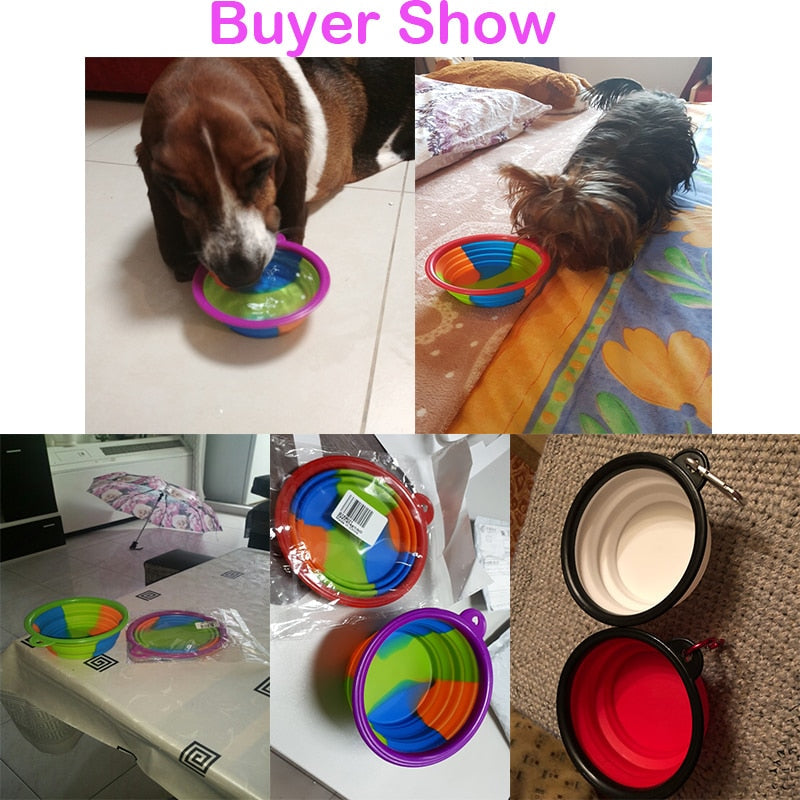 Portable Collapsible Dog Bowl for Travel, Walks & Hikes