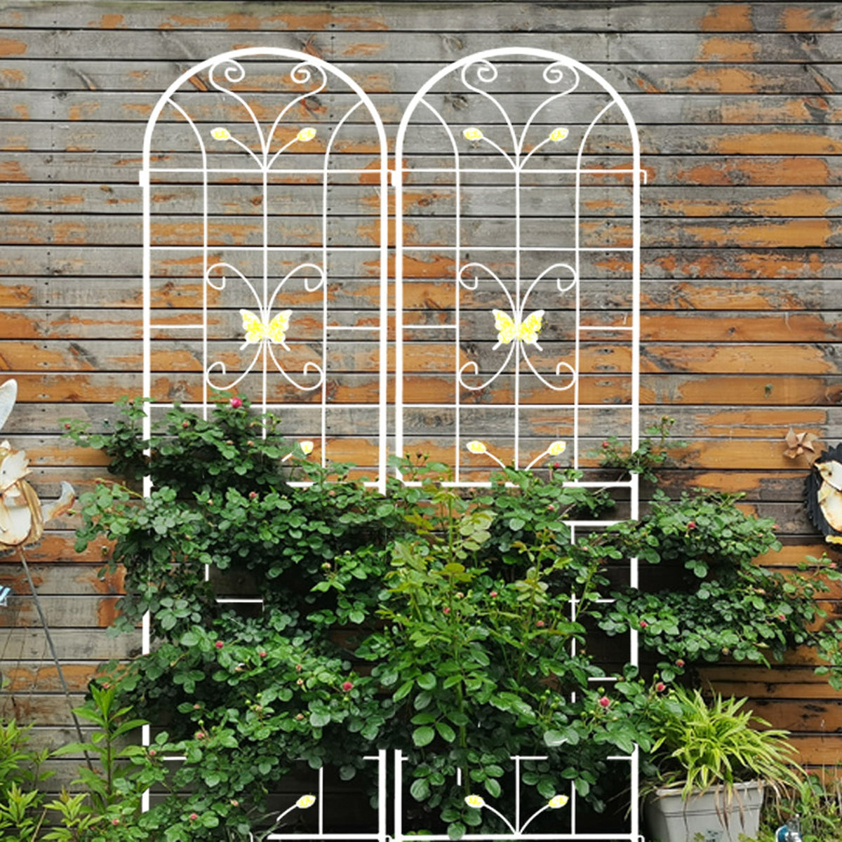 Metal Garden Trellis for Climbing Roses, Rustproof 2-Pack