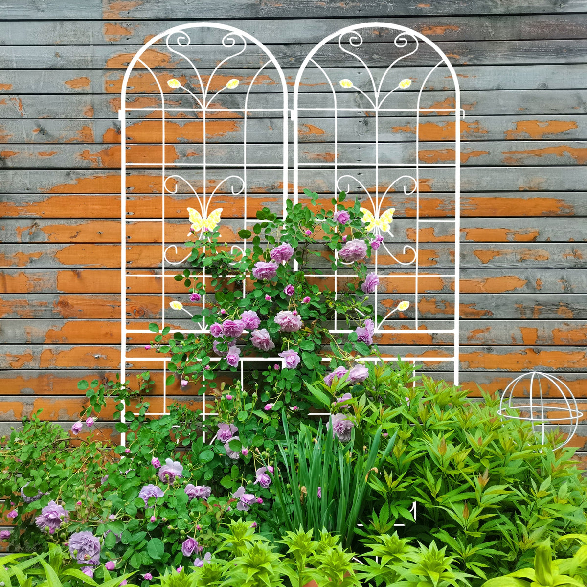 Metal Garden Trellis for Climbing Roses, Rustproof 2-Pack