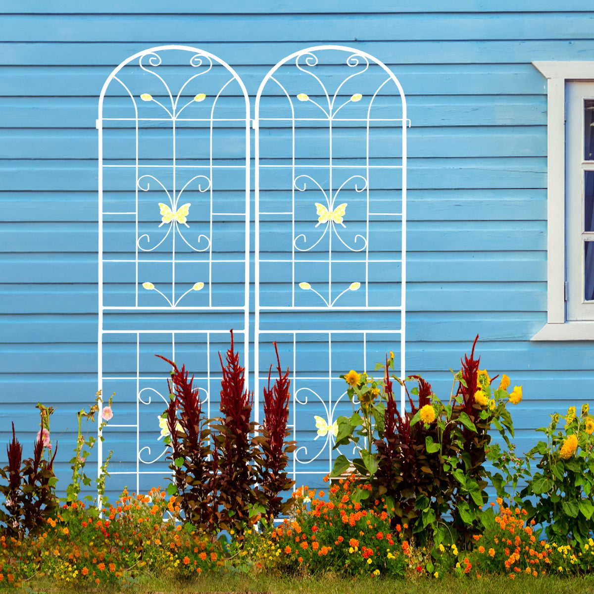 Metal Garden Trellis for Climbing Roses, Rustproof 2-Pack
