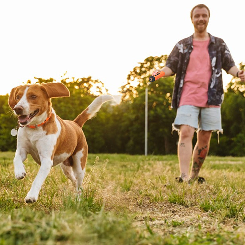 Ultrasonic Dog Training Device With LED Safety Light