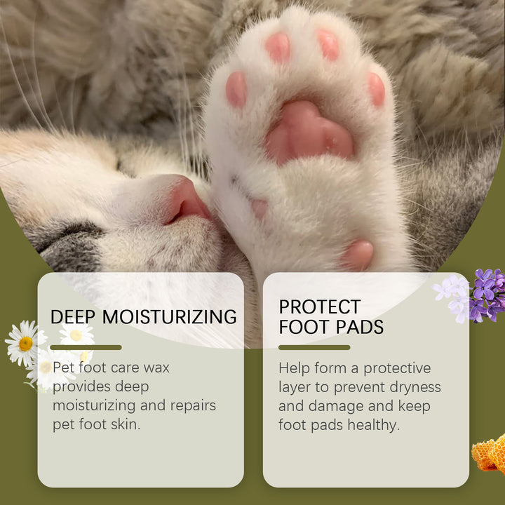Dog Paw Balm for Dry, Cracked Pads | Chamomile Care