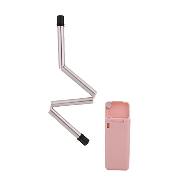 Foldable Reusable Stainless Steel Straw With Carry Case