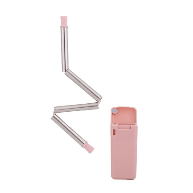 Foldable Reusable Stainless Steel Straw With Carry Case