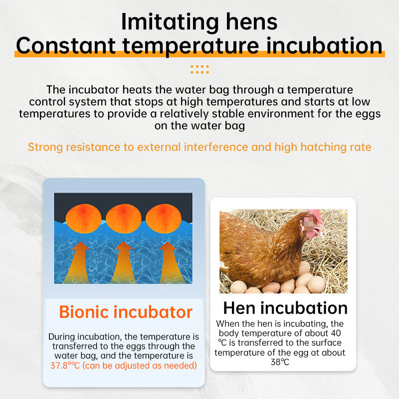 Small Poultry Egg Incubator With Smart Temperature Control