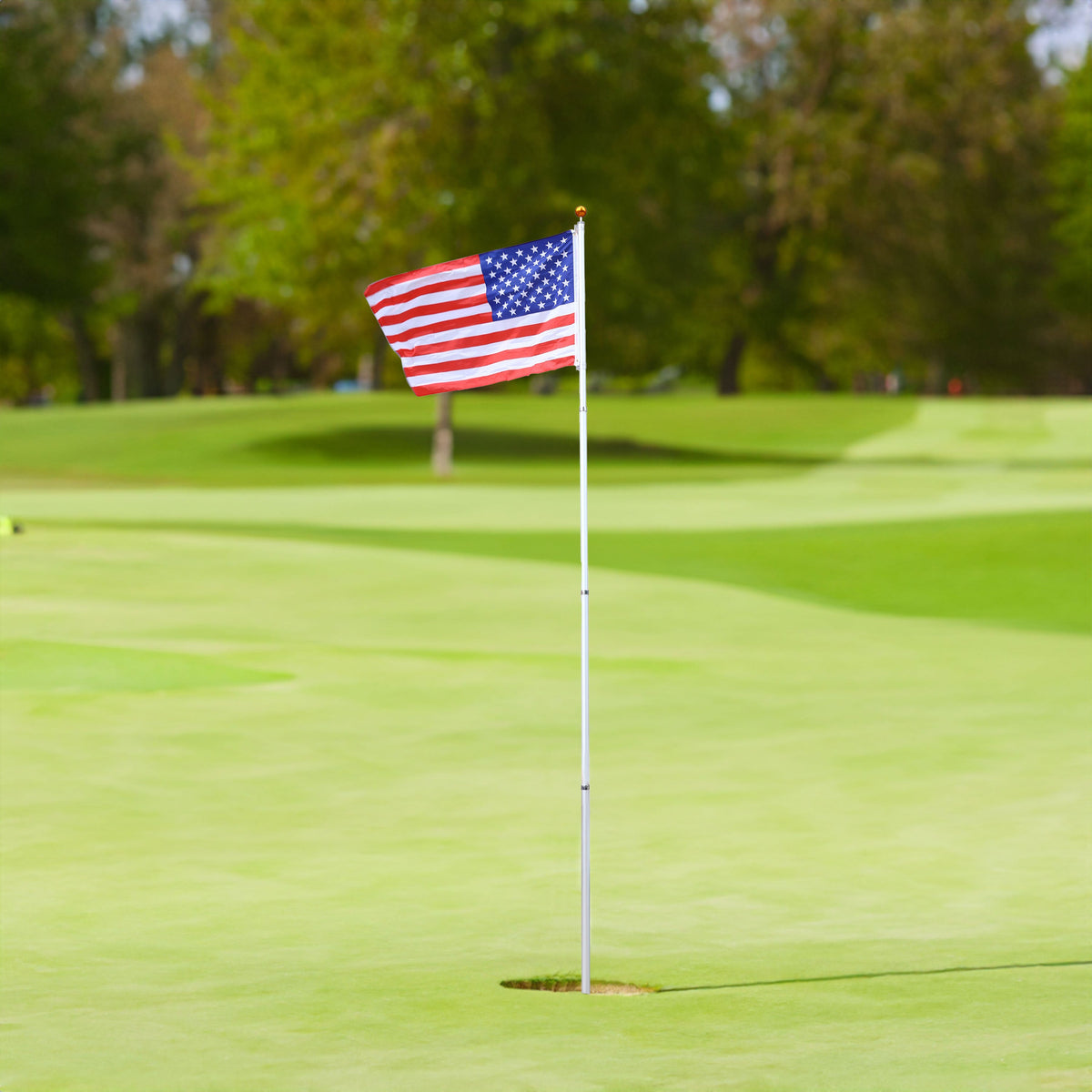 25FT Segmented Aluminum Flagpole Kit with Gold Ball Top