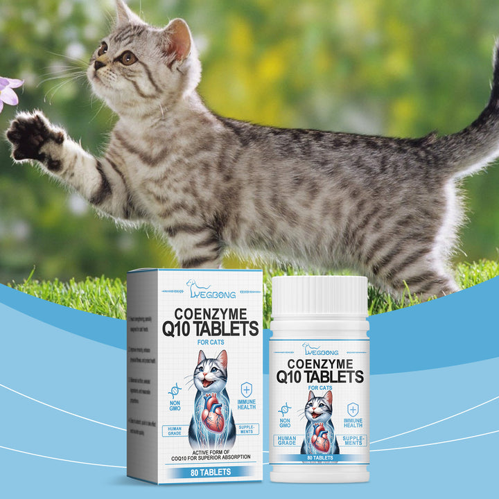 Cat CoQ10 Supplement for Heart & Cardiovascular Support