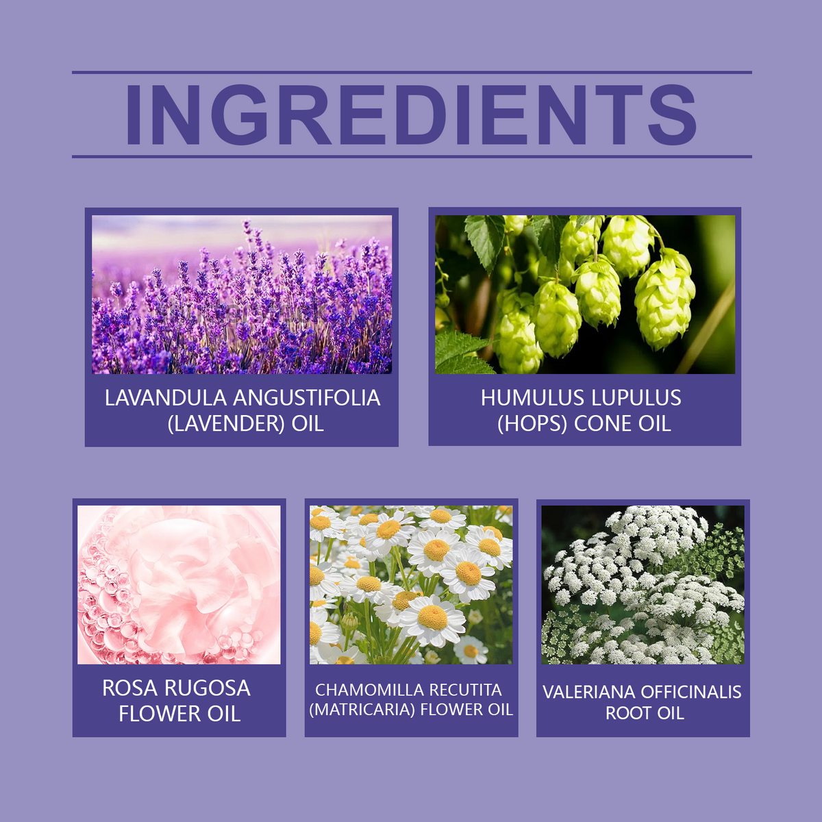 Lavender Night Patches for Peaceful Bedtime Relaxation