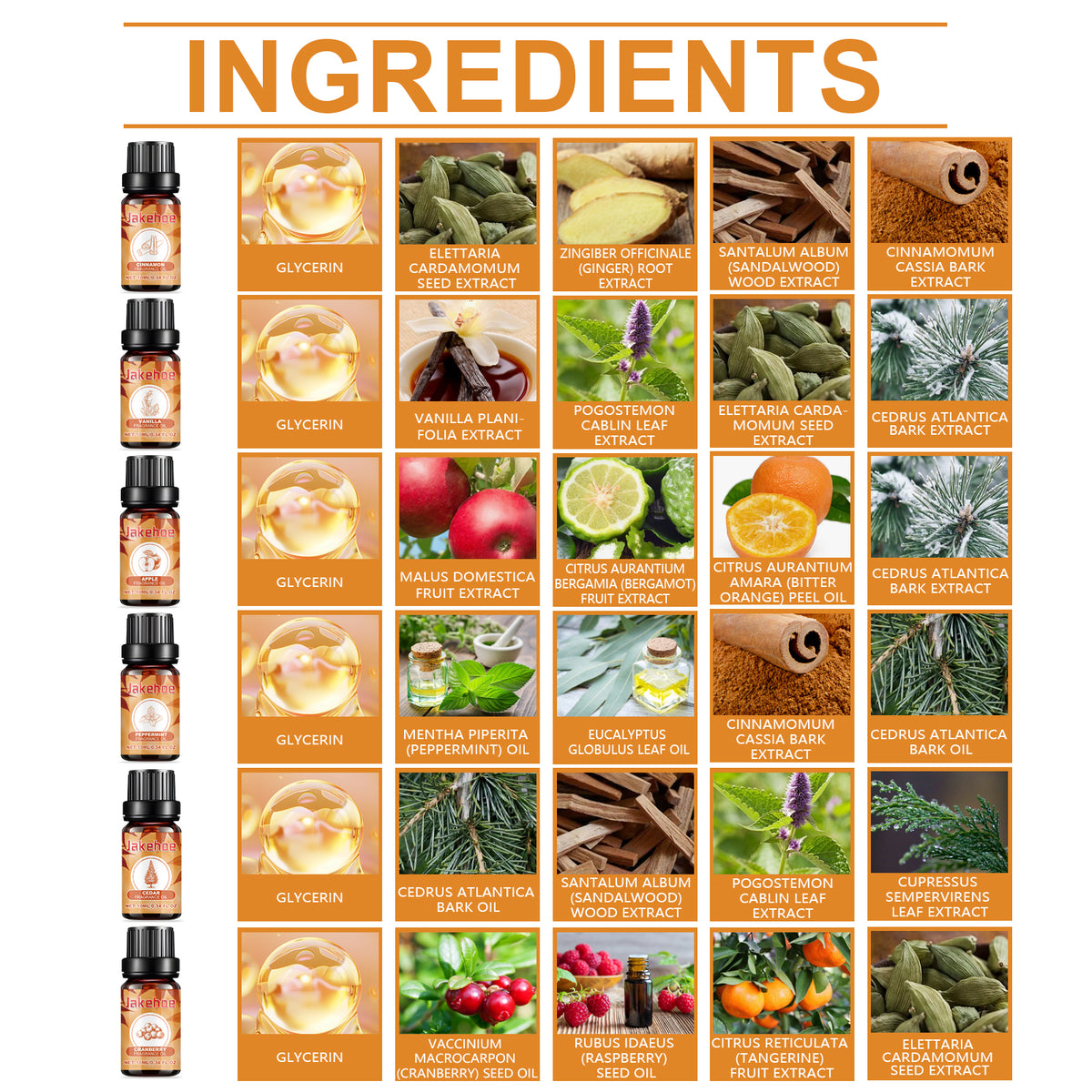 Autumn Fragrance Oils Set for Cozy Home Atmosphere