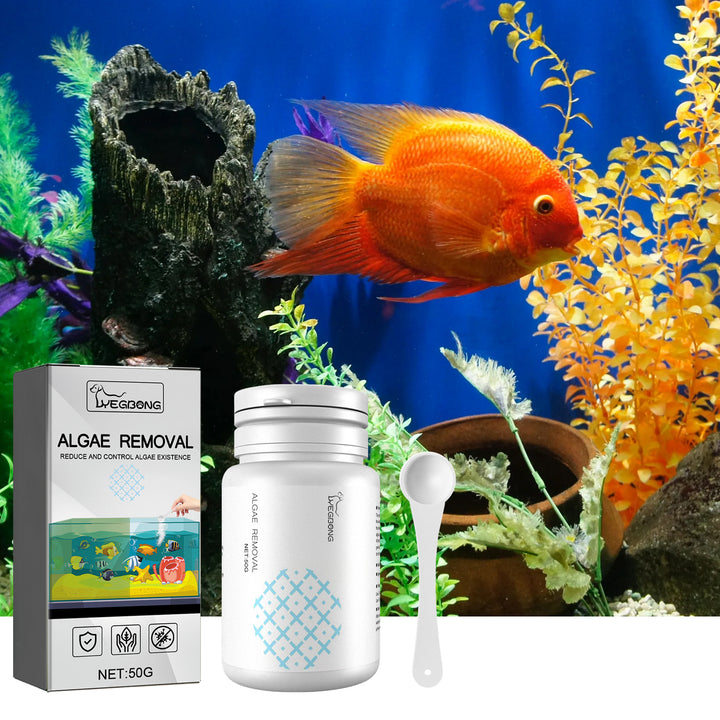 Aquarium Algae Removal Powder for Clearer, Cleaner Water
