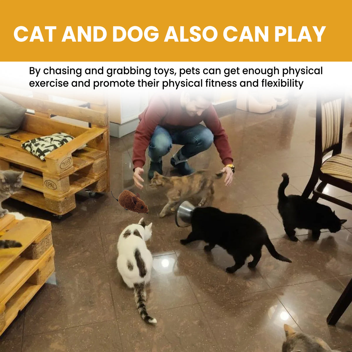 Interactive Mouse Toy for Cats With Sound & Movement