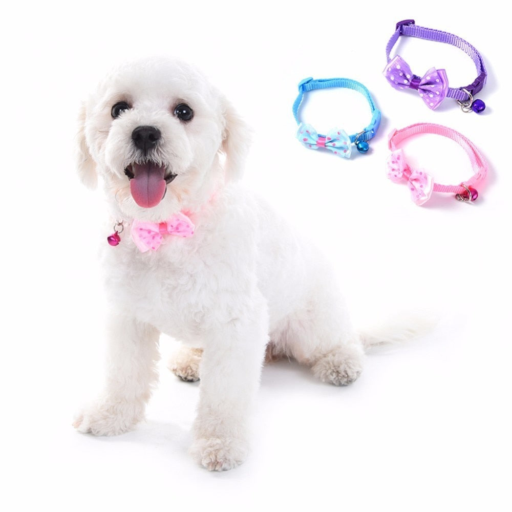 Bowknot Pet Collars for Small Pets | Colorful Style