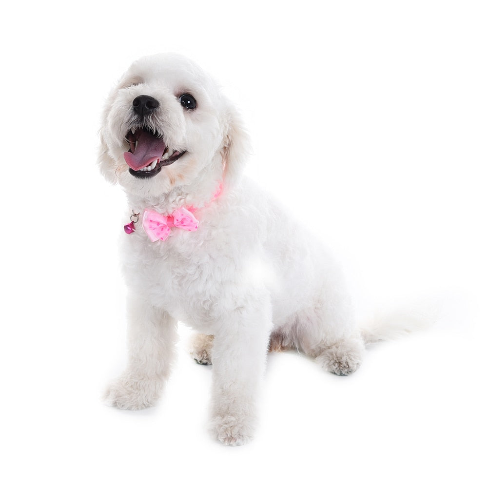 Bowknot Pet Collars for Small Pets | Colorful Style