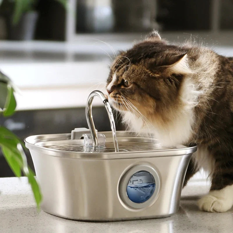 3.2L Cat Water Fountain for Fresh, Flowing Hydration